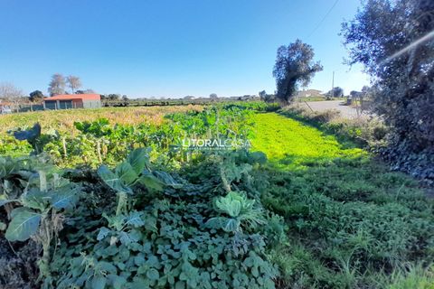 Helårsgrund i Aveiro, Aveiro, Aveiro - € 99.500 | Ref: VEN-3985 - foto 13