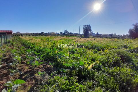 Helårsgrund i Aveiro, Aveiro, Aveiro - € 99.500 | Ref: VEN-3985 - foto 14