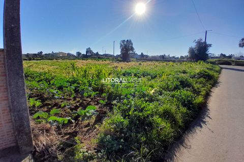 Helårsgrund i Aveiro, Aveiro, Aveiro - € 99.500 | Ref: VEN-3985 - foto 15