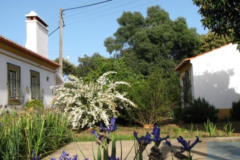 Granja a Avis, Portalegre, Avis - € 510.000 | Ref: QUIJPD001 - foto 22
