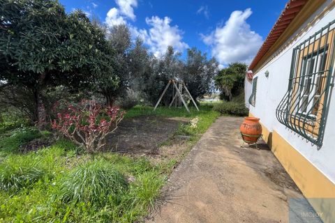Granja a Avis, Portalegre, Avis - € 510.000 | Ref: QUIJPD001 - foto 25