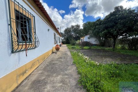 Granja a Avis, Portalegre, Avis - € 510.000 | Ref: QUIJPD001 - foto 26