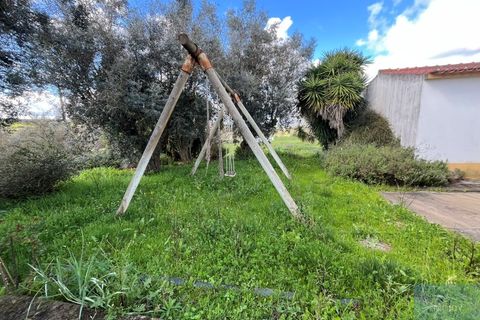 Granja a Avis, Portalegre, Avis - € 510.000 | Ref: QUIJPD001 - foto 28