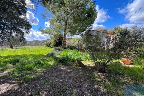 Granja a Avis, Portalegre, Avis - € 510.000 | Ref: QUIJPD001 - foto 33