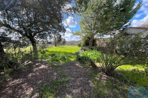 Granja a Avis, Portalegre, Avis - € 510.000 | Ref: QUIJPD001 - foto 34
