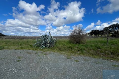 Granja a Avis, Portalegre, Avis - € 510.000 | Ref: QUIJPD001 - foto 35