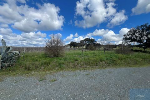 Granja a Avis, Portalegre, Avis - € 510.000 | Ref: QUIJPD001 - foto 36