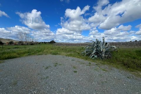 Granja a Avis, Portalegre, Avis - € 510.000 | Ref: QUIJPD001 - foto 38