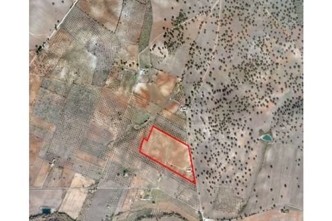 Granja a Avis, Portalegre, Avis - € 510.000 | Ref: QUIJPD001 - foto 41