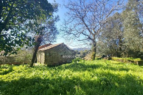 Farm i Ponte de Lima, Viana do Castelo, Ponte de Lima - € 140.000 | Ref: AV6277 - foto 2