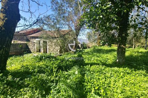 Farm i Ponte de Lima, Viana do Castelo, Ponte de Lima - € 140.000 | Ref: AV6277 - foto 3