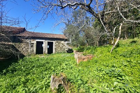 Farm i Ponte de Lima, Viana do Castelo, Ponte de Lima - € 140.000 | Ref: AV6277 - foto 1