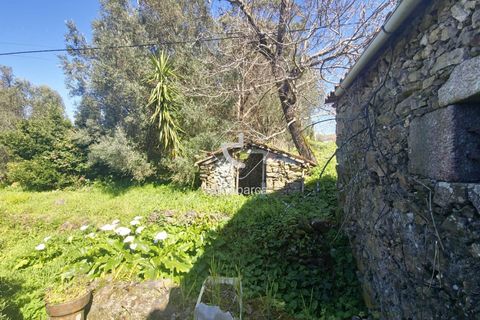 Farm i Ponte de Lima, Viana do Castelo, Ponte de Lima - € 140.000 | Ref: AV6277 - foto 5