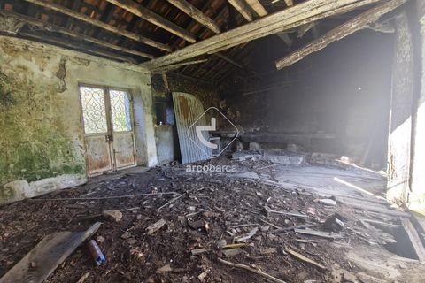 Farm i Ponte de Lima, Viana do Castelo, Ponte de Lima - € 140.000 | Ref: AV6277 - foto 6