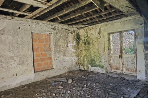 Farm i Ponte de Lima, Viana do Castelo, Ponte de Lima - € 140.000 | Ref: AV6277 - foto 7