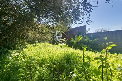 Farm i Ponte de Lima, Viana do Castelo, Ponte de Lima - € 140.000 | Ref: AV6277 - foto 9