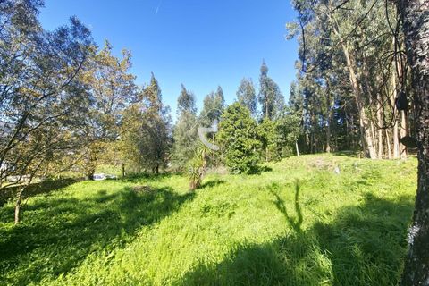 Farm i Ponte de Lima, Viana do Castelo, Ponte de Lima - € 140.000 | Ref: AV6277 - foto 10