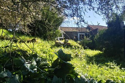 Farm i Ponte de Lima, Viana do Castelo, Ponte de Lima - € 140.000 | Ref: AV6277 - foto 11