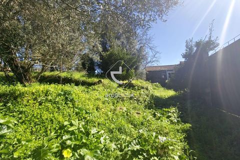 Farm i Ponte de Lima, Viana do Castelo, Ponte de Lima - € 140.000 | Ref: AV6277 - foto 12