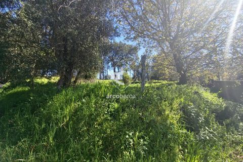 Farm i Ponte de Lima, Viana do Castelo, Ponte de Lima - € 140.000 | Ref: AV6277 - foto 13
