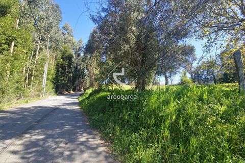 Farm i Ponte de Lima, Viana do Castelo, Ponte de Lima - € 140.000 | Ref: AV6277 - foto 14
