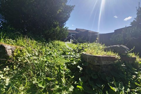 Farm i Ponte de Lima, Viana do Castelo, Ponte de Lima - € 140.000 | Ref: AV6277 - foto 15