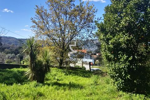 Farm i Ponte de Lima, Viana do Castelo, Ponte de Lima - € 140.000 | Ref: AV6277 - foto 16