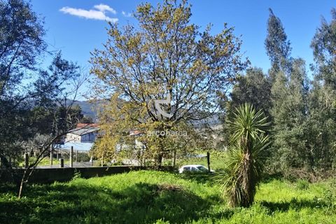 Farm i Ponte de Lima, Viana do Castelo, Ponte de Lima - € 140.000 | Ref: AV6277 - foto 17