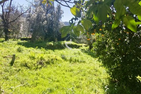 Farm i Ponte de Lima, Viana do Castelo, Ponte de Lima - € 140.000 | Ref: AV6277 - foto 19