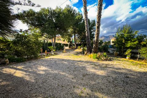 Landejendom i Orihuela, Alicante, Orihuela - € 360.000 | Ref: COL-37509 - foto 7