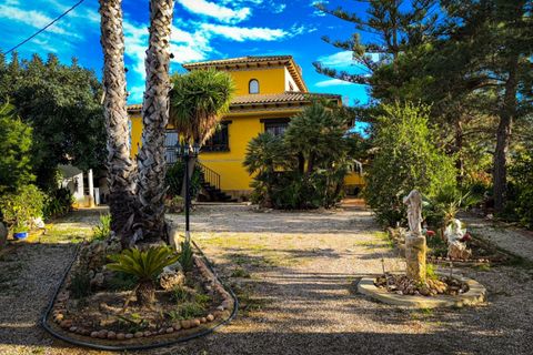 Landejendom i Orihuela, Alicante, Orihuela - € 360.000 | Ref: COL-37509 - foto 9