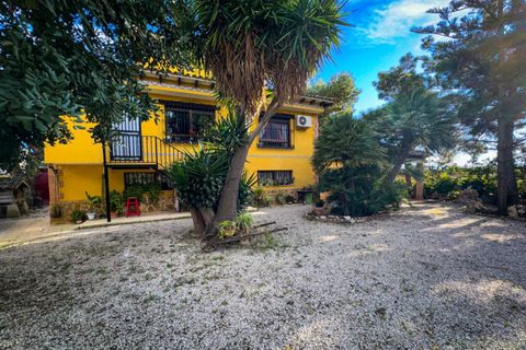 Landejendom i Orihuela, Alicante, Orihuela - € 360.000 | Ref: COL-37509 - foto 10