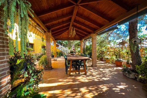 Landejendom i Orihuela, Alicante, Orihuela - € 360.000 | Ref: COL-37509 - foto 13