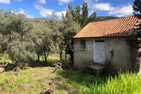 Helårsgrund i Covilha, Castelo Branco, Covilha - € 28.000 | Ref: 111250056 - foto 1