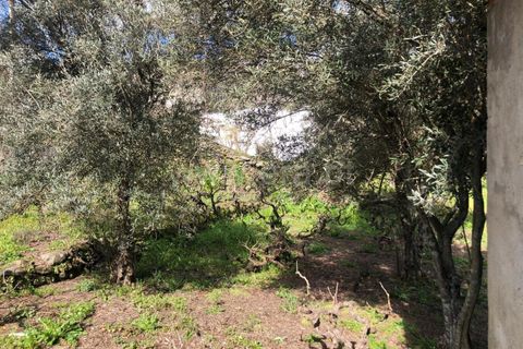 Helårsgrund i Covilha, Castelo Branco, Covilha - € 28.000 | Ref: 111250056 - foto 6
