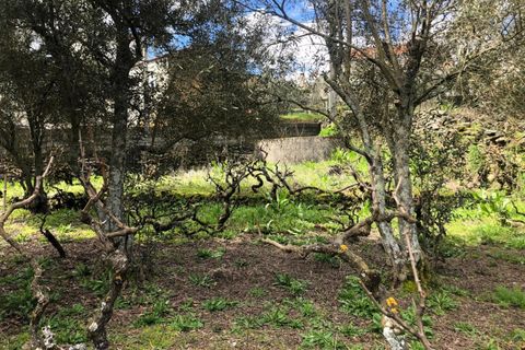 Helårsgrund i Covilha, Castelo Branco, Covilha - € 28.000 | Ref: 111250056 - foto 7