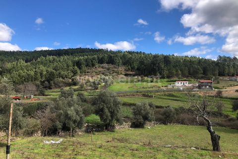 Helårsgrund i Covilha, Castelo Branco, Covilha - € 28.000 | Ref: 111250056 - foto 9
