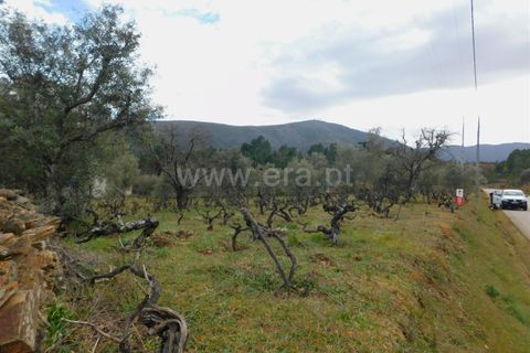 Helårsgrund i Covilha, Castelo Branco, Covilha - € 28.000 | Ref: 111250056 - foto 11