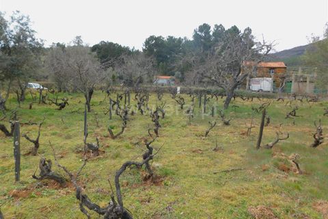 Helårsgrund i Covilha, Castelo Branco, Covilha - € 28.000 | Ref: 111250056 - foto 13