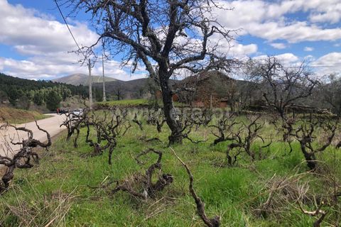 Helårsgrund i Covilha, Castelo Branco, Covilha - € 28.000 | Ref: 111250056 - foto 15