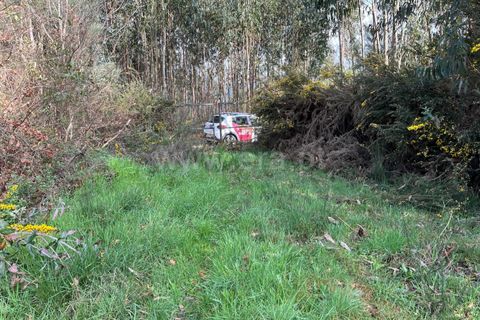 Terra a Seia, Guarda, Seia - € 32.500 | Ref: 382250025 - foto 2
