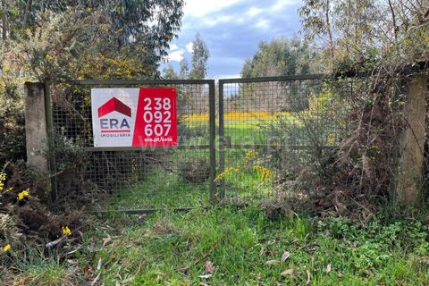 Terra a Seia, Guarda, Seia - € 32.500 | Ref: 382250025 - foto 3