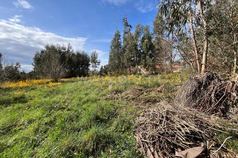 Terra a Seia, Guarda, Seia - € 32.500 | Ref: 382250025 - foto 4
