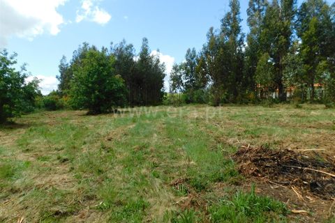 Terra a Seia, Guarda, Seia - € 32.500 | Ref: 382250025 - foto 5
