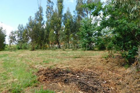 Terra a Seia, Guarda, Seia - € 32.500 | Ref: 382250025 - foto 6
