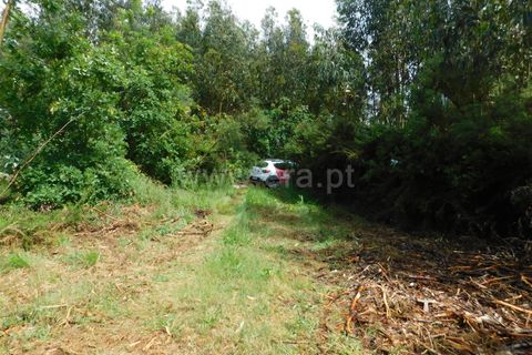 Terra a Seia, Guarda, Seia - € 32.500 | Ref: 382250025 - foto 7