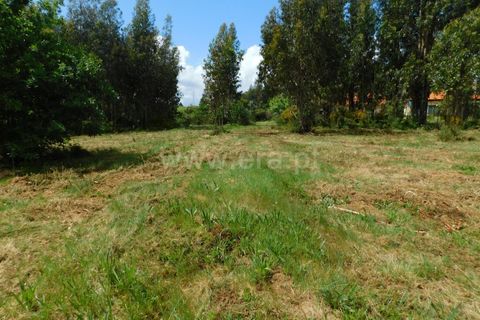 Terra a Seia, Guarda, Seia - € 32.500 | Ref: 382250025 - foto 8