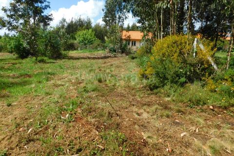 Terra a Seia, Guarda, Seia - € 32.500 | Ref: 382250025 - foto 9