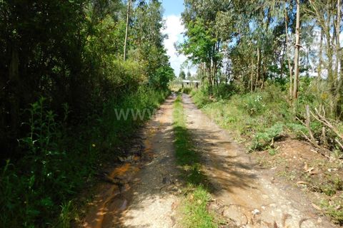 Terra a Seia, Guarda, Seia - € 32.500 | Ref: 382250025 - foto 10
