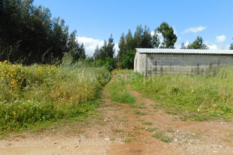 Tomt i Seia, Guarda, Seia - € 57 500 | Ref: 382250026 - foto 5